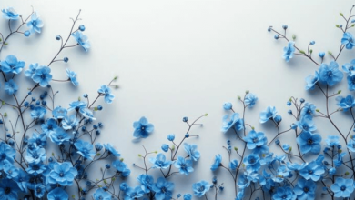 Aesthetic:7h5r-M8exs8= Blue Flower