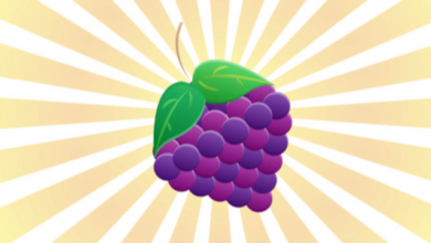 Outline:7jhstzy8zze= Grapes