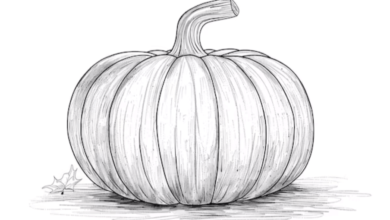 Outline:7lur9ajx32e= Pumpkin Drawing