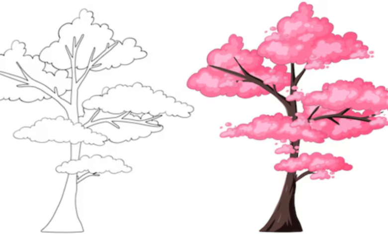 Outline:9rcxbm3ewjc= Cherry Blossom Tree Drawing