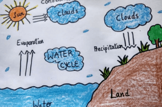 Drawing:0h6wvamp-0w= Water Cycle