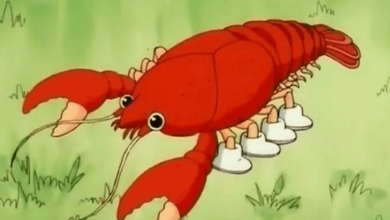 Cute:50vplby8zhk= Lobster