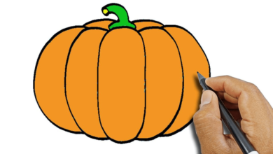 Cute:60bey1hu9lw= How to Draw a Pumpkin