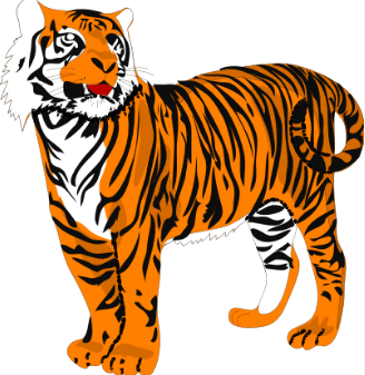 Clipart:5jcfy_K8cic= Tiger Face