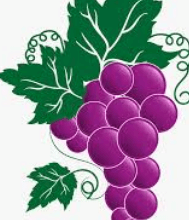 Clipart:6v7veumjy6m= Grapes