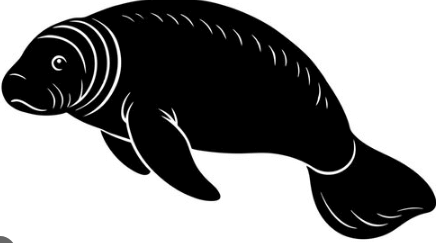 Clipart:6xurn4sp0qa= Manatee