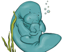 Clipart:6xurn4sp0qa= Manatee