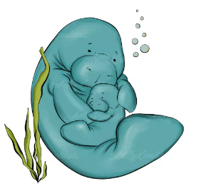 Clipart:6xurn4sp0qa= Manatee