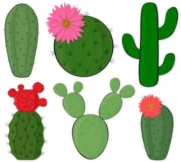 Clipart:-6sg38capt4= Cactus