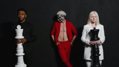 organisational performance intelligence brief