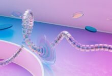 strategic intelligence control summary