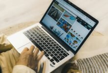 online professional web model