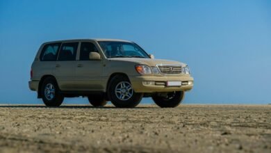 stable digital infrastructure solutions